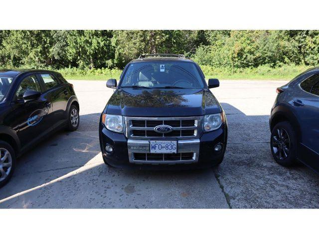 2010 FORD ESCAPE LIMITED