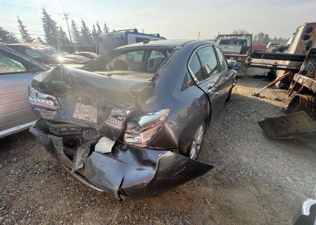 2013 HONDA ACCORD EXL