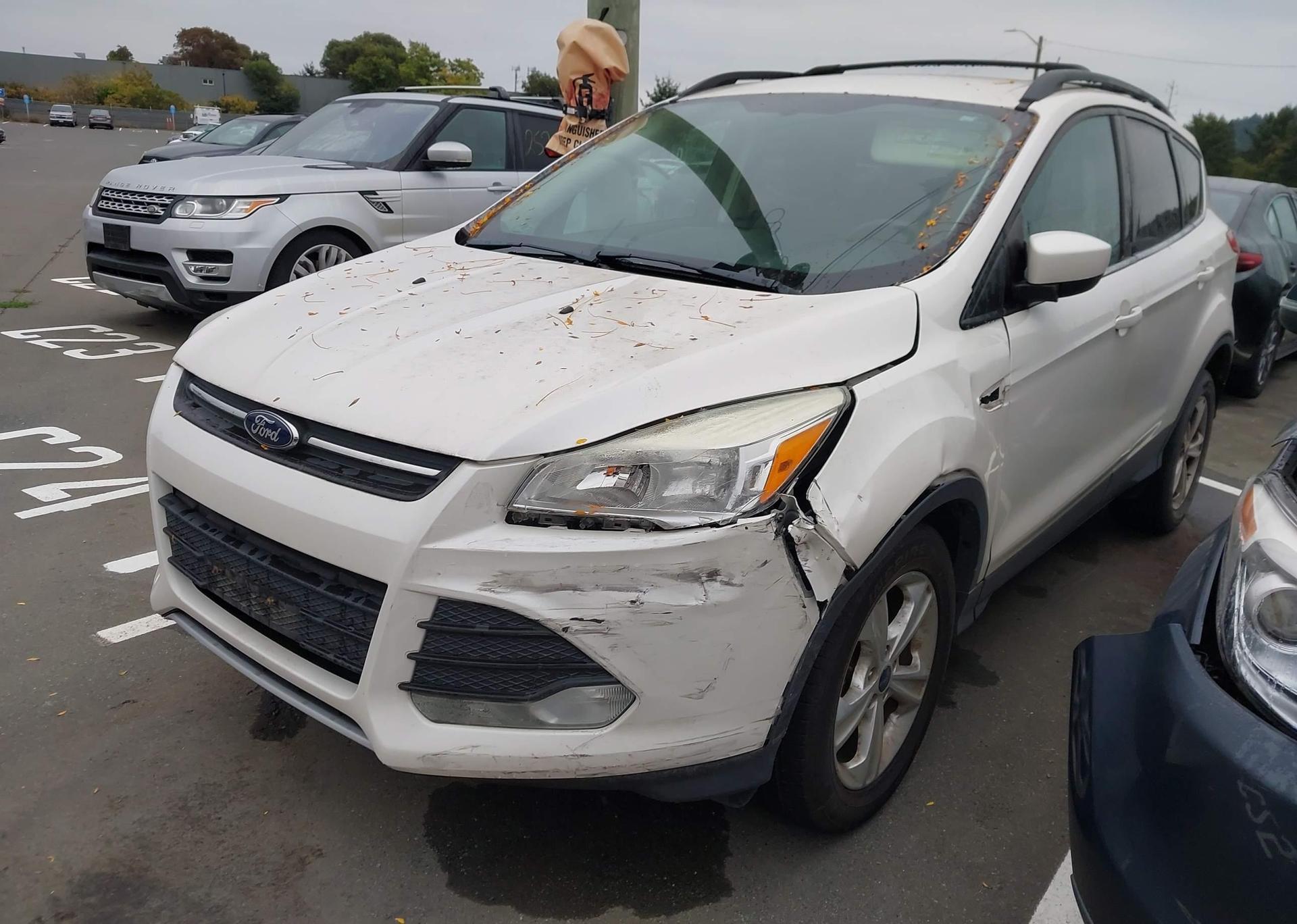 2014 FORD ESCAPE SE