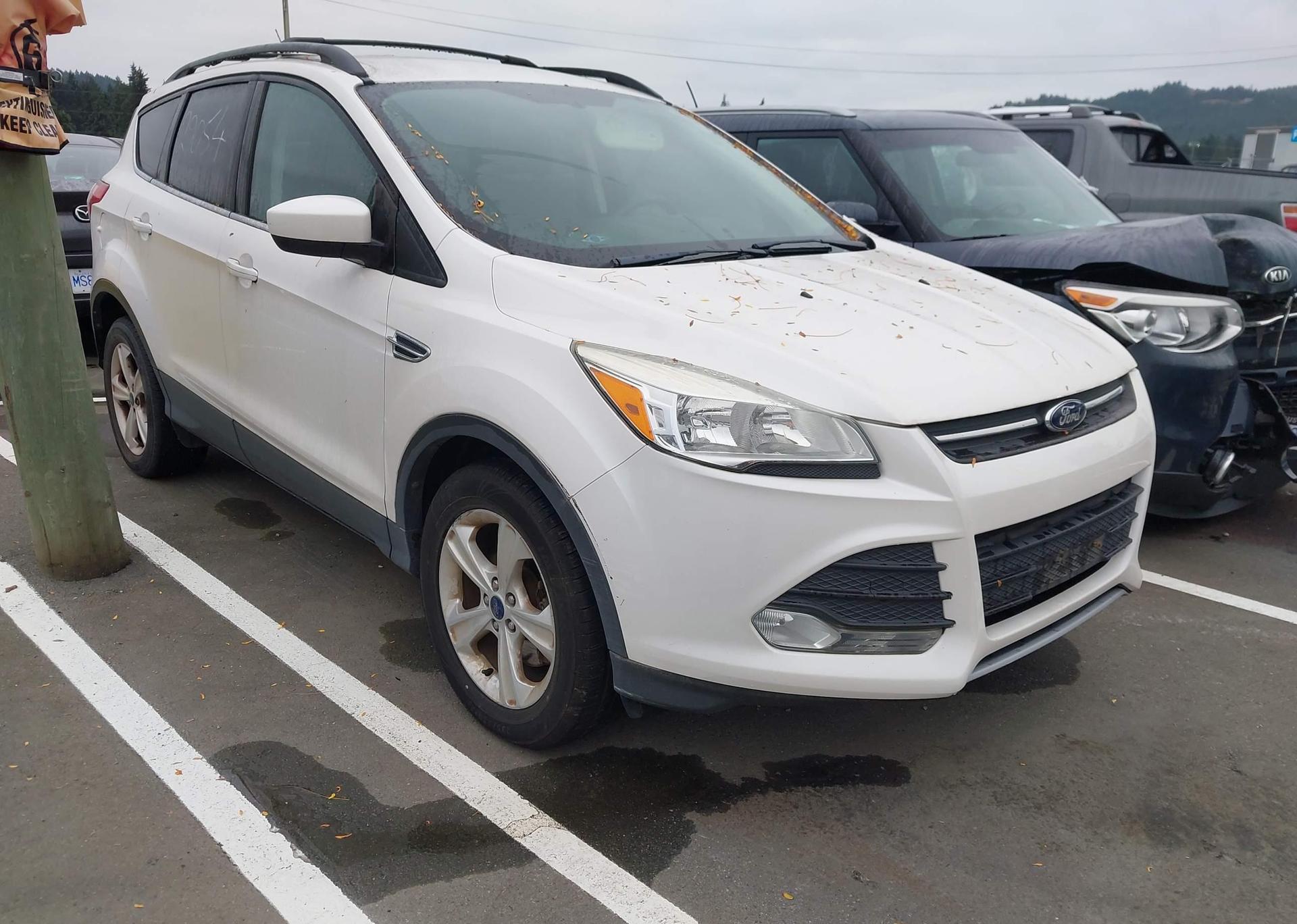 2014 FORD ESCAPE SE