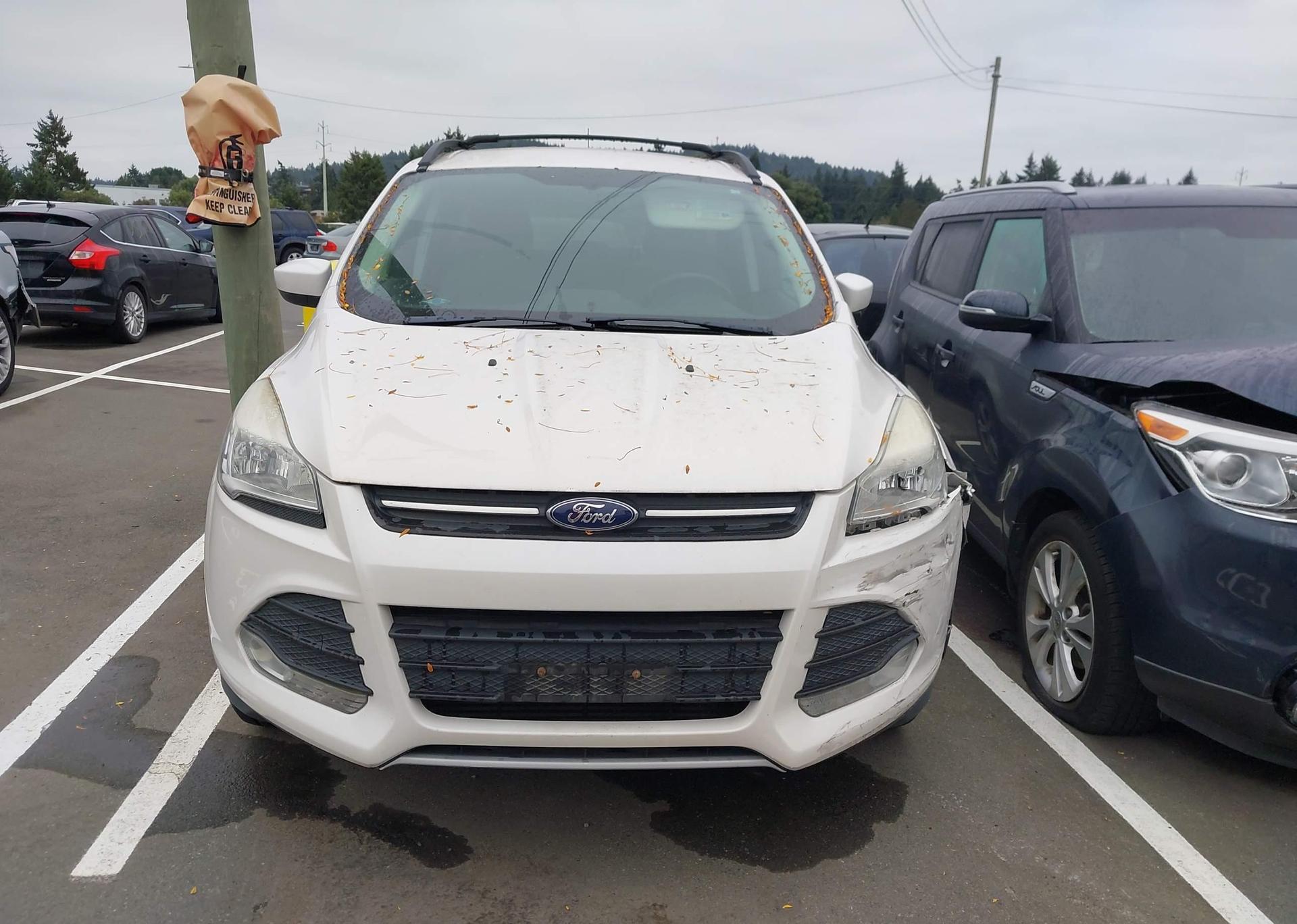 2014 FORD ESCAPE SE