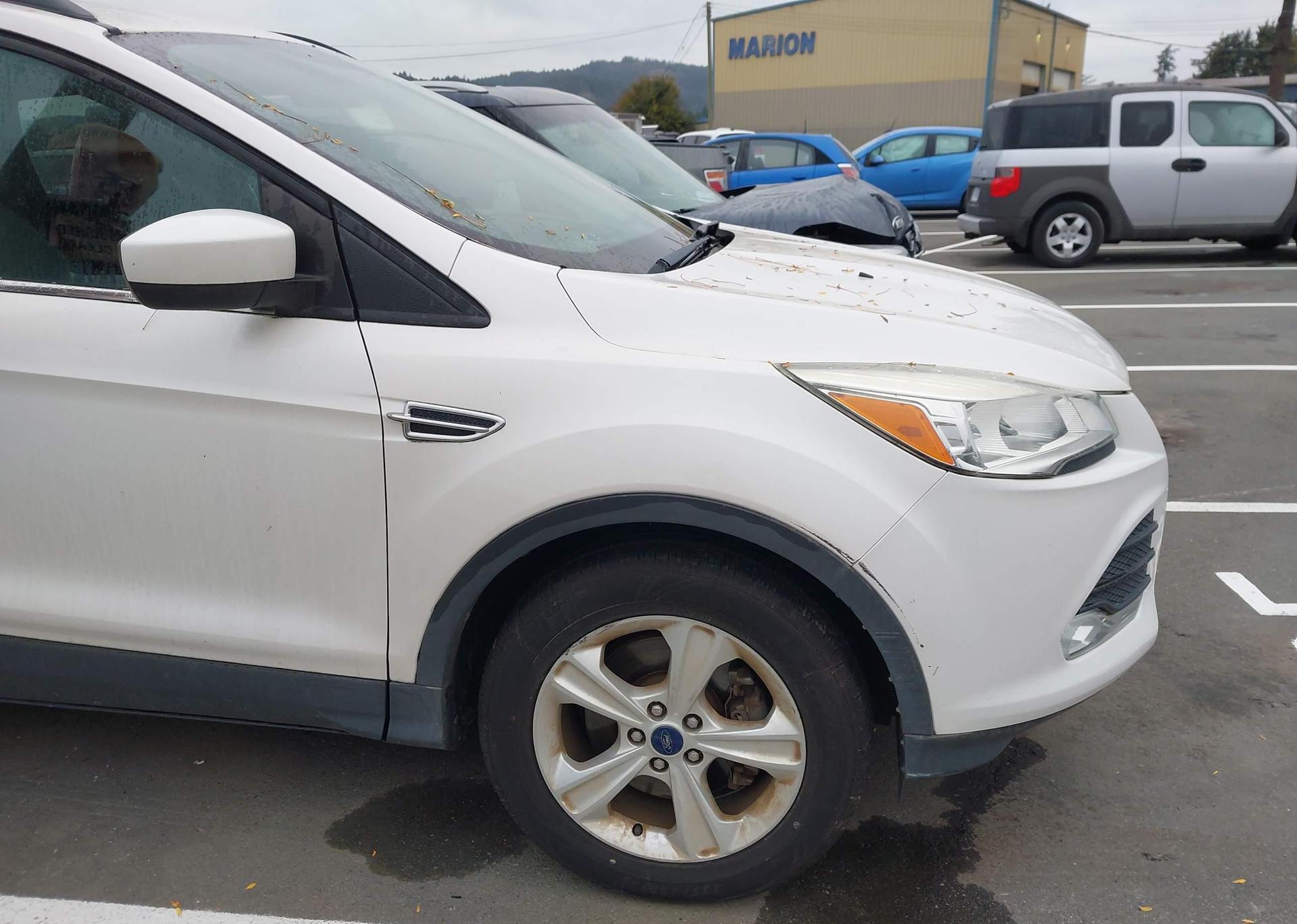 2014 FORD ESCAPE SE