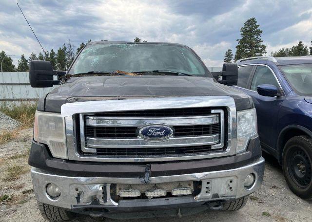 2013 FORD F150