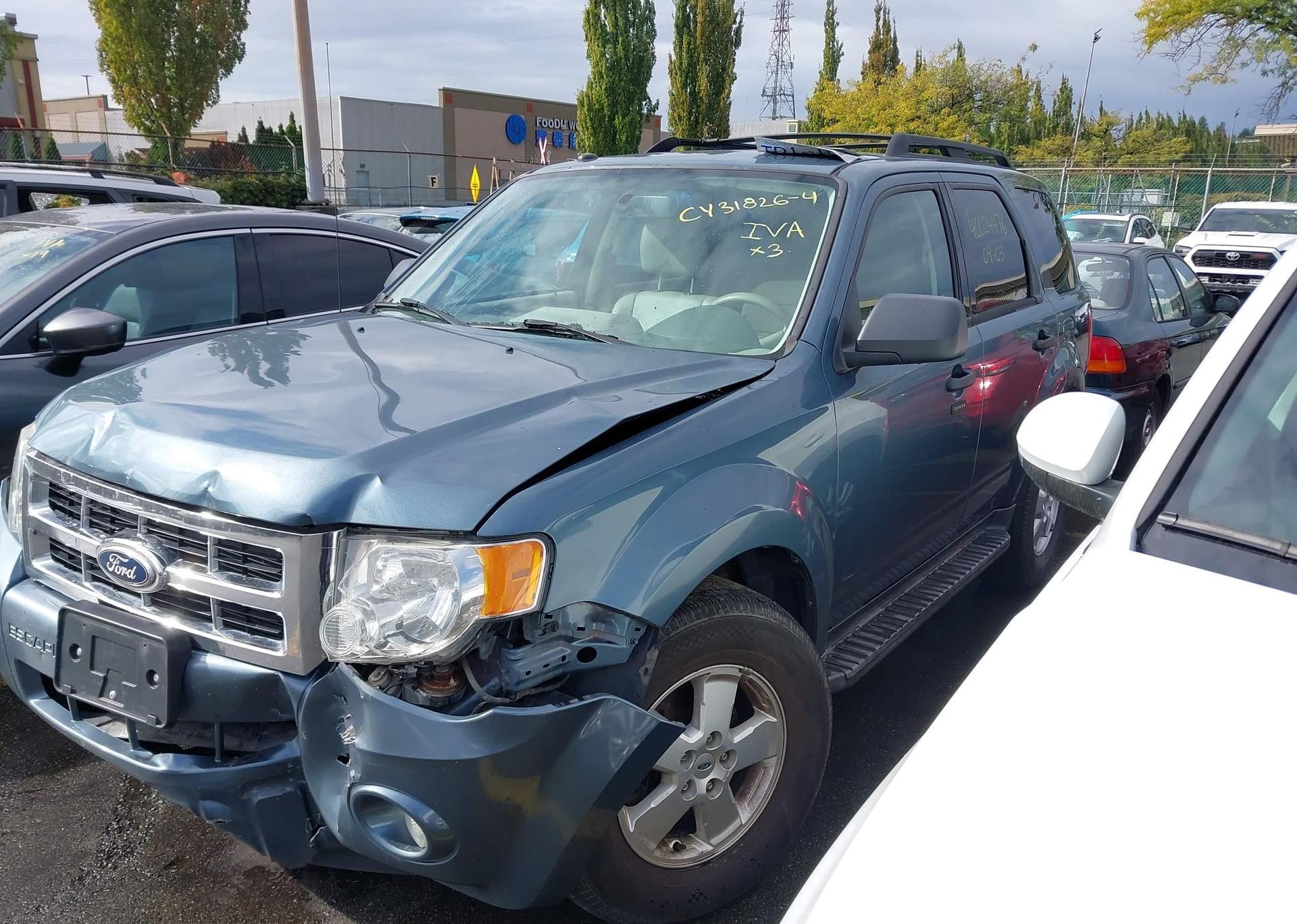 2010 FORD ESCAPE XLT