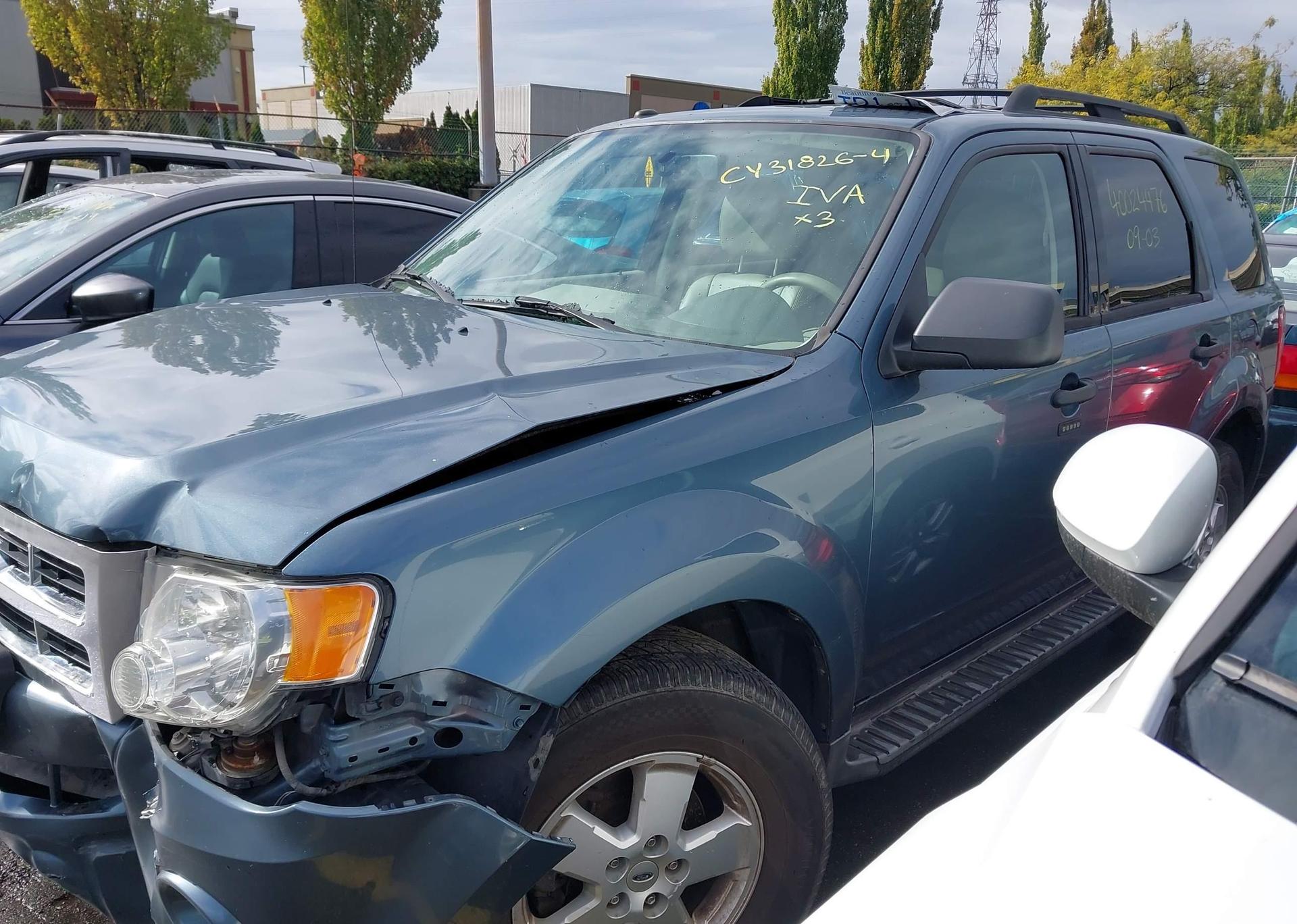 2010 FORD ESCAPE XLT