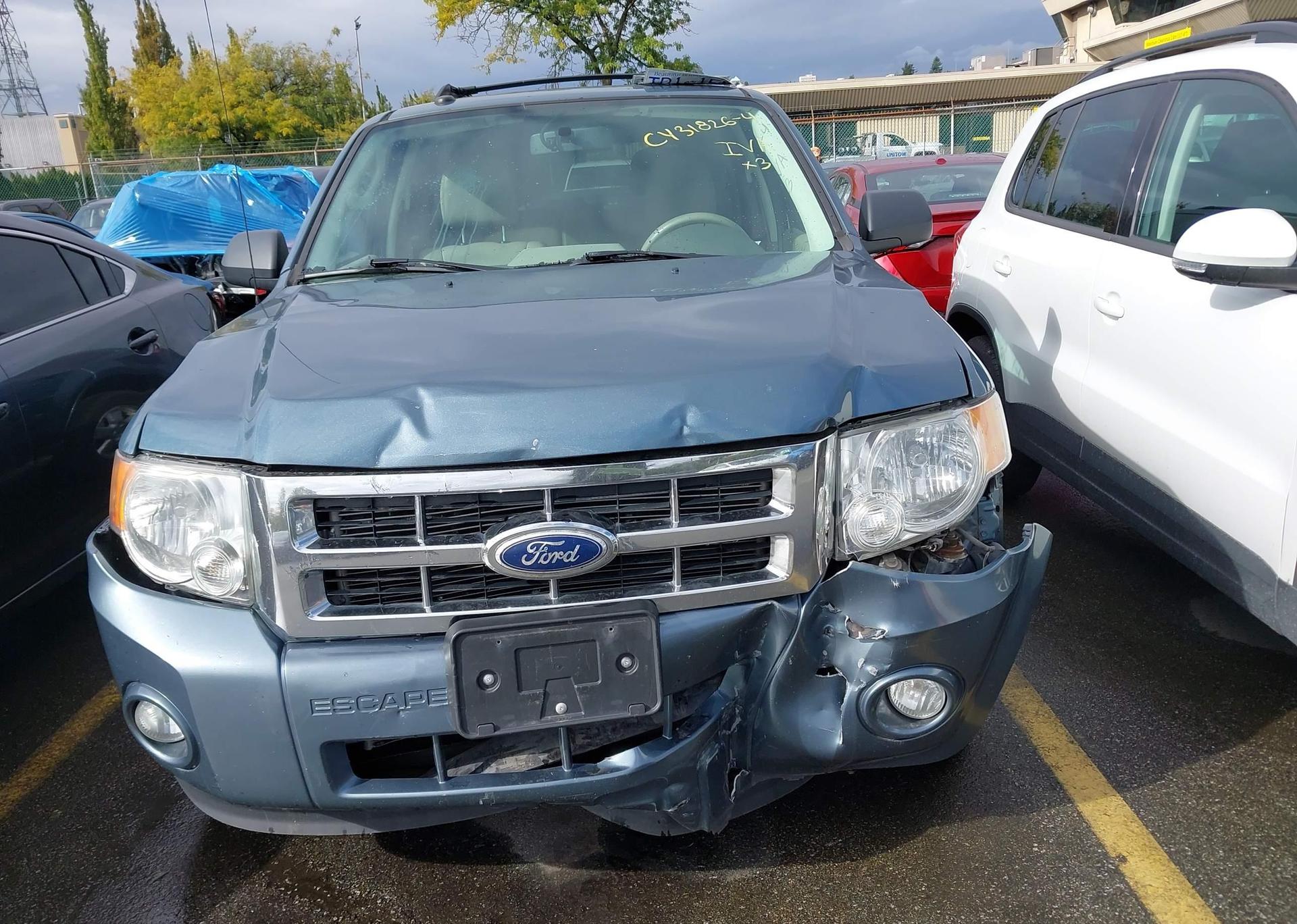 2010 FORD ESCAPE XLT