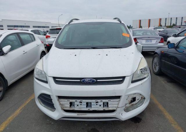 2013 FORD ESCAPE SE