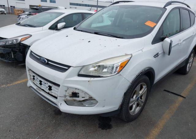 2013 FORD ESCAPE SE