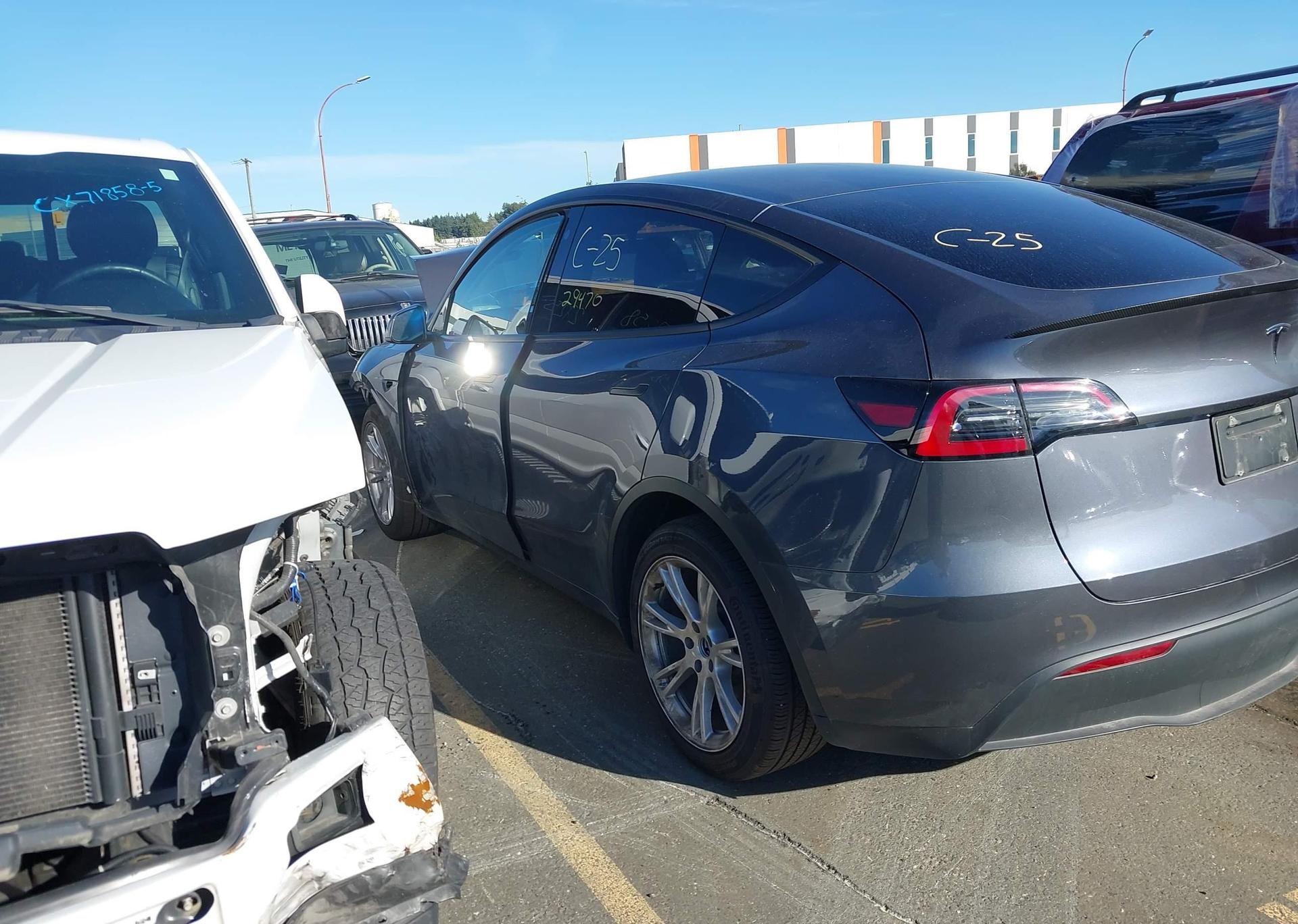 2023 TESLA MODEL Y