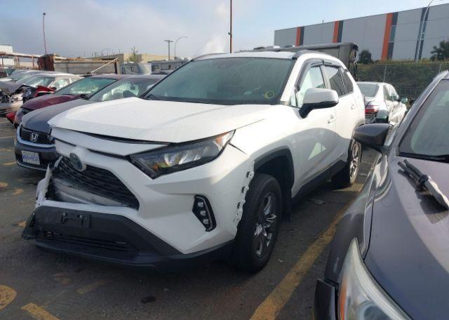 2024 TOYOTA RAV4 LE