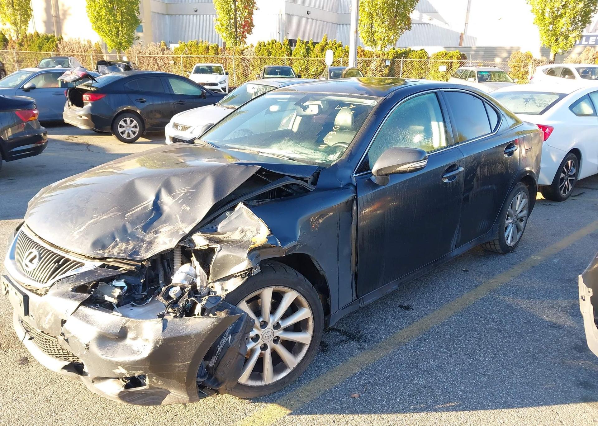 2010 LEXUS IS 250