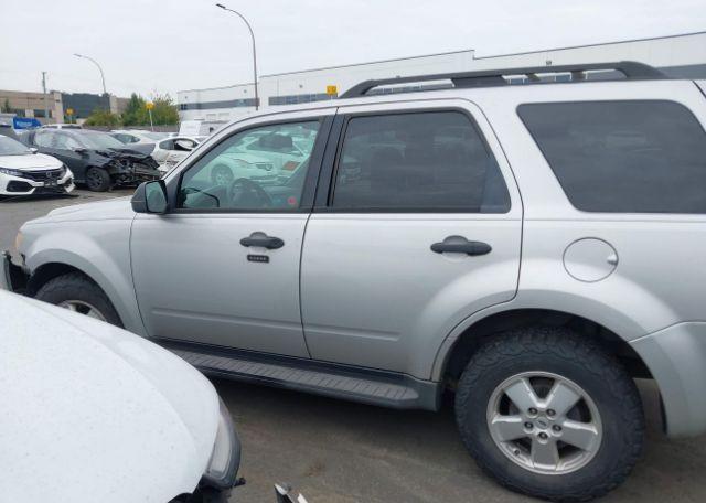 2009 FORD ESCAPE XLT
