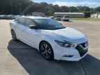 2017 NISSAN Maxima