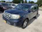 2009 HONDA PILOT