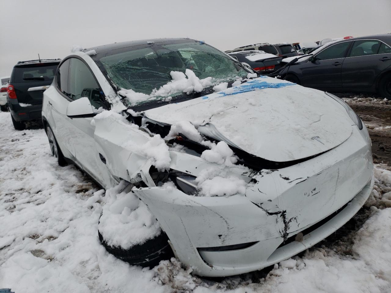 2023 TESLA MODEL Y