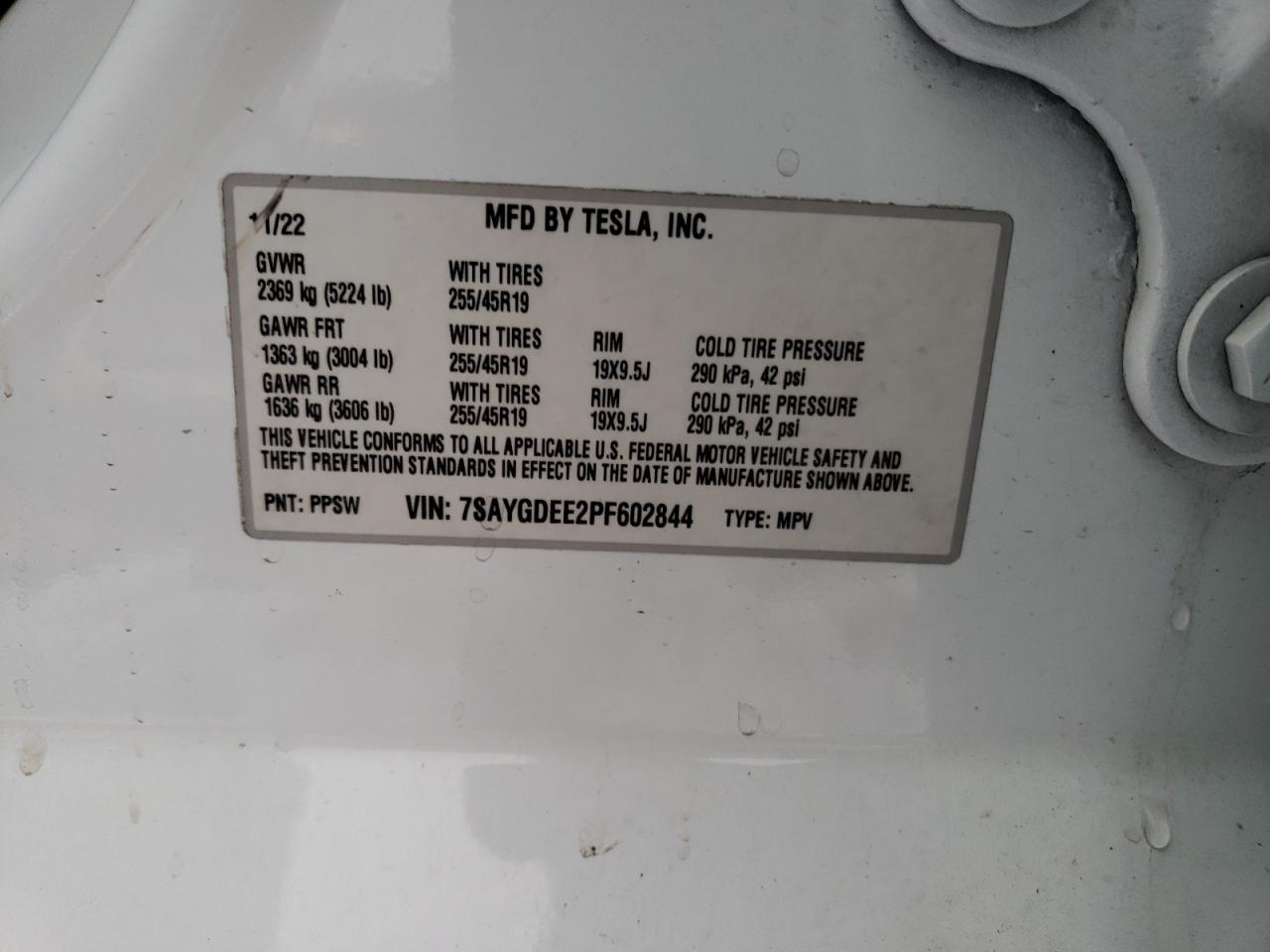 2023 TESLA MODEL Y