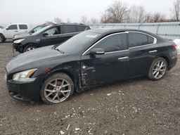 2010 NISSAN Maxima