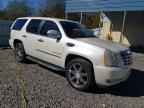 2008 CADILLAC ESCALADE