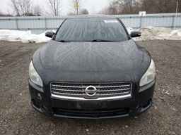 2010 NISSAN Maxima