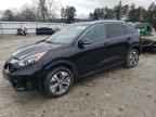2021 KIA Niro