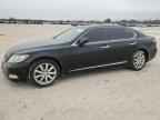 2009 LEXUS LS 460