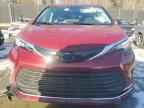 2023 TOYOTA SIENNA