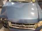 2009 FORD ESCAPE