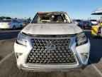 2020 LEXUS GX 460