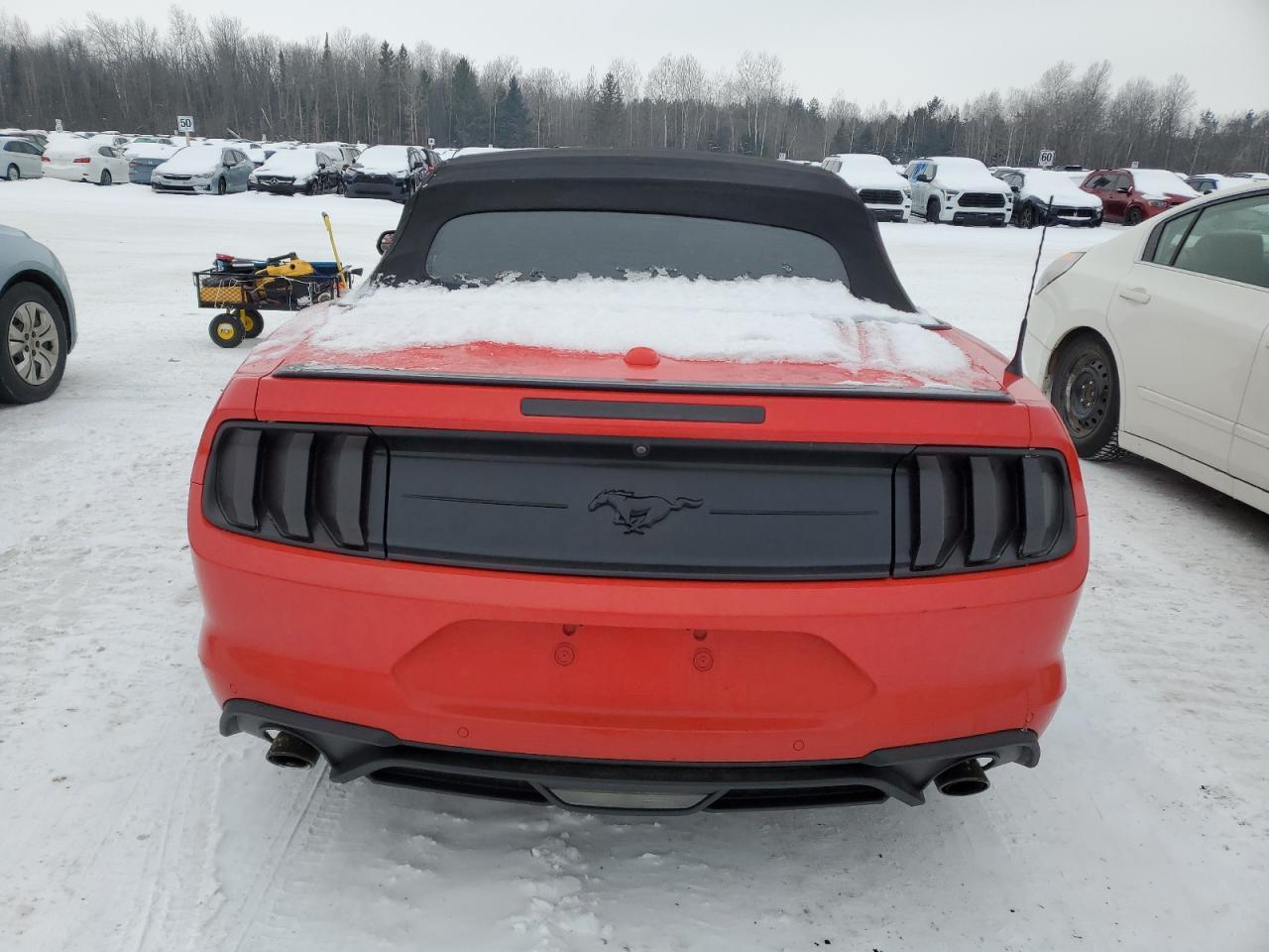 2019 FORD MUSTANG
