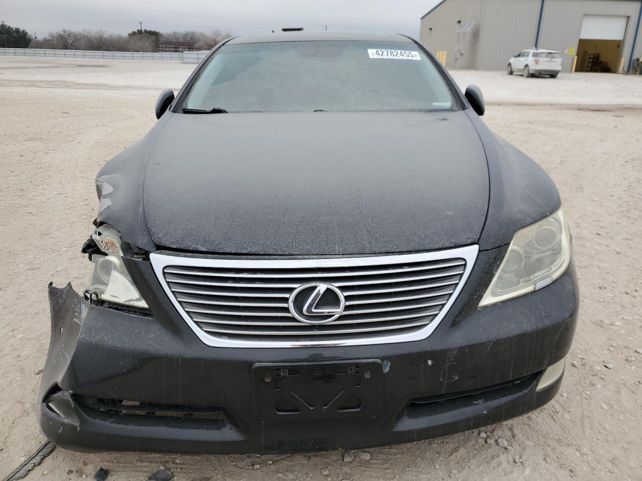 2009 LEXUS LS 460