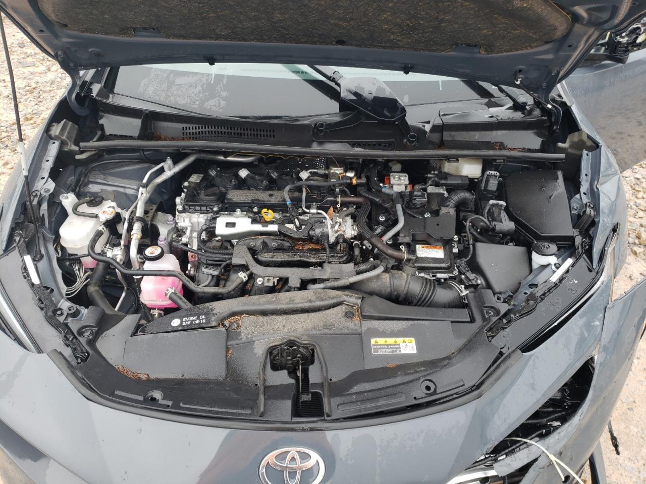 2023 TOYOTA PRIUS