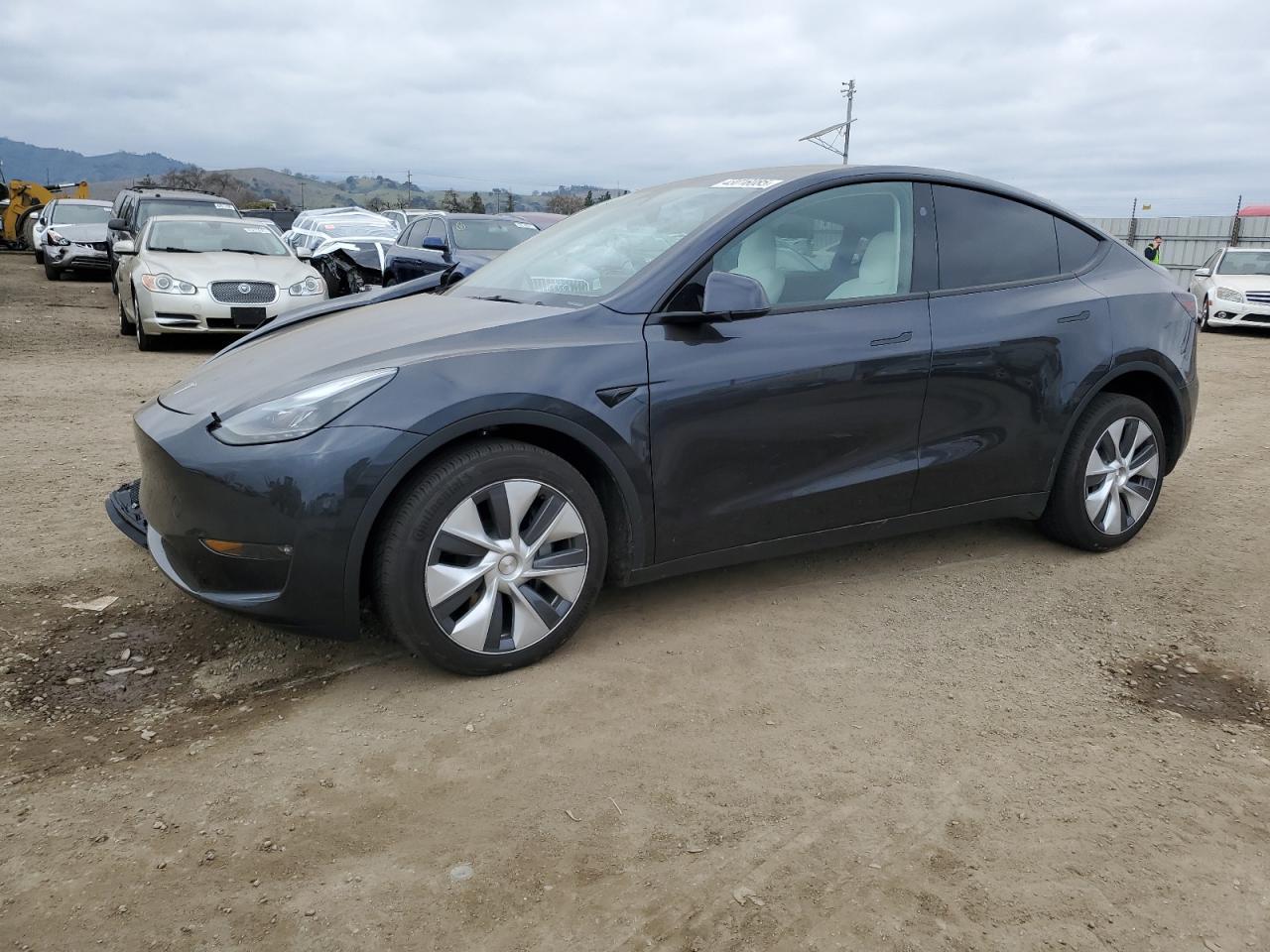 2024 TESLA MODEL Y