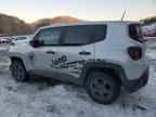 2019 JEEP Renegade