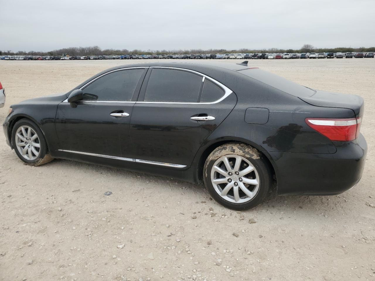 2009 LEXUS LS 460