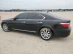 2009 LEXUS LS 460