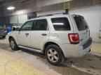 2009 FORD ESCAPE