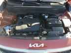 2023 KIA SELTOS