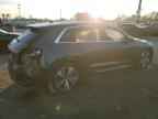 2024 AUDI Q8