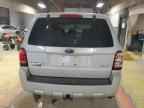 2009 FORD ESCAPE