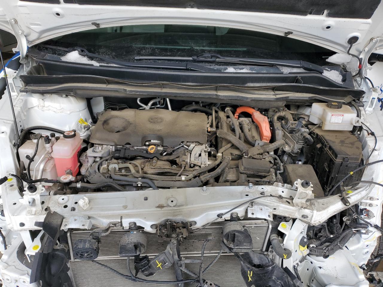 2021 TOYOTA SIENNA