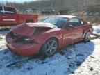 1999 FORD MUSTANG