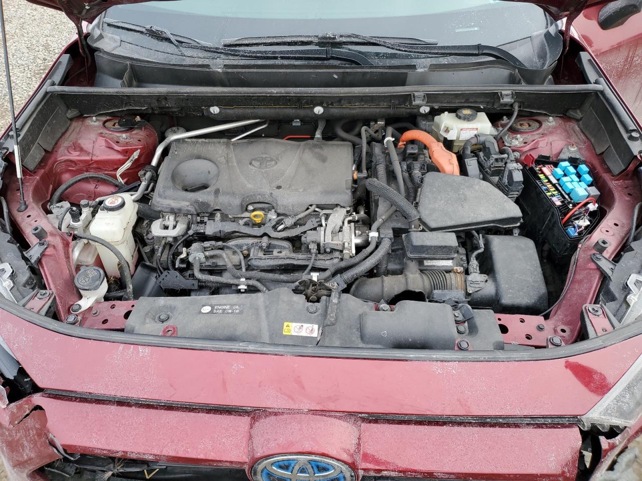 2019 TOYOTA RAV4
