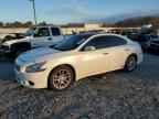 2010 NISSAN Maxima