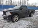 2010 DODGE RAM 1500