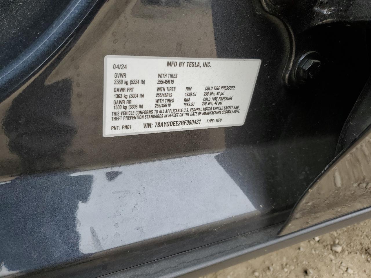 2024 TESLA MODEL Y