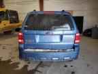 2009 FORD ESCAPE