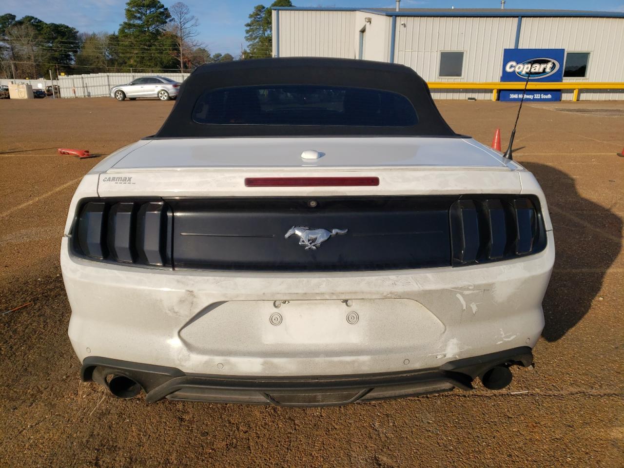 2019 FORD MUSTANG