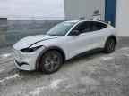 2023 FORD MUSTANG