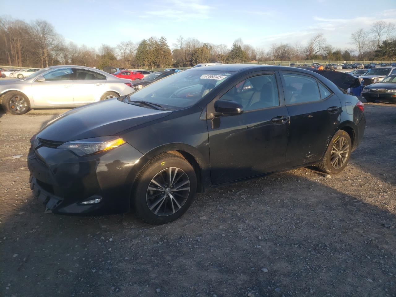 2019 TOYOTA COROLLA