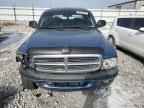 2004 DODGE Dakota